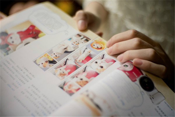 《团宠：小祖宗她人美路子野》小说全文在线试读，《团宠：小祖宗她人美路子野》最新章节目录