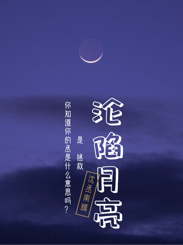 沦陷月亮沈丞南嫣全文免费阅读