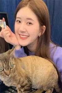 【完整版】最强宠婚：早安，总裁大人林青禾赵耀宗精彩阅读_林青禾赵耀宗小说在线分享