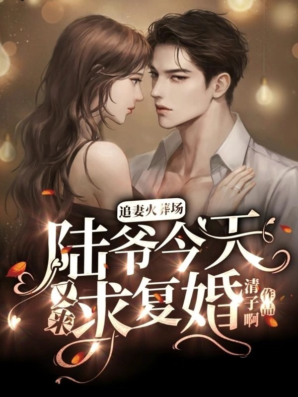追妻火葬场：陆爷今天又来求复婚全文免费阅读无弹窗大结局_追妻火葬场：陆爷今天又来求复婚（洛灵陆君逸）最新小说
